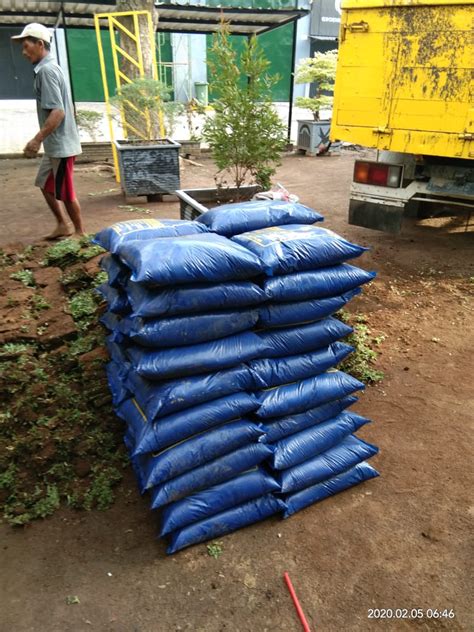 Cek aneka rekomendasi pupuk rumput terlengkap & terbaik lainnya. Pengiriman rumput gajah mini , tanah taman , dan pupuk ...