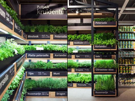 Whether you're looking for a tool that let's you sit and kneel easily, a solar powered sensory lights, or a unique canopy seat for your backyard. Grocery Store Herb Gardens : instore farming