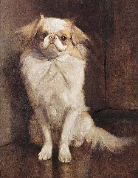 Portrait Of A Japanese Chin By Samuel Fulton Art Posters And Prints Art