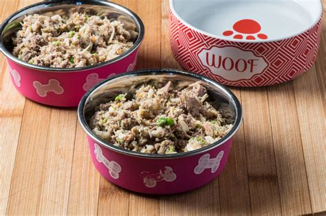 Check spelling or type a new query. Healthy Homemade Dog Food - Tasty Low Carb