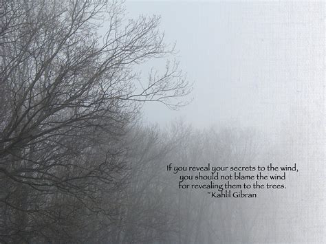 Quotes About Foggy Quotesgram