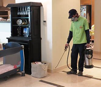 Pest control in dubai is usually required for most. Instar Pest Control Dubai | Best Pest Control Services in UAE.