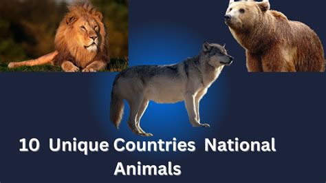 10 Unique Countries National Animals Youtube