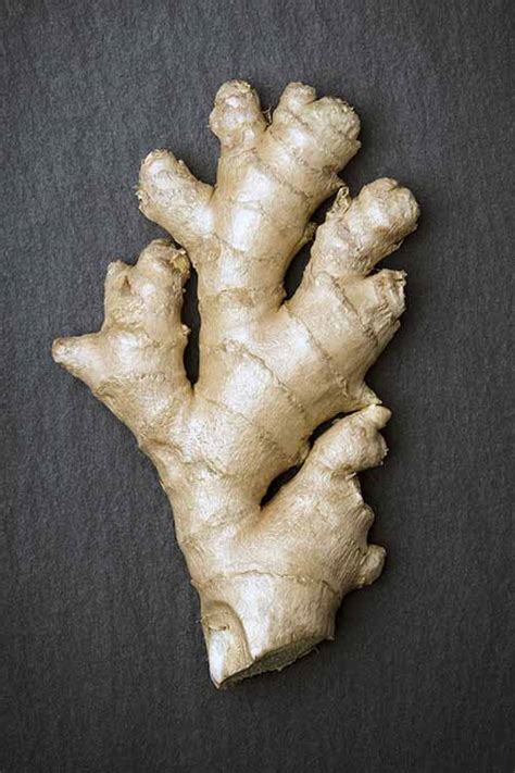 A Root Like No Other How To Use And Store Fresh Ginger Foodal