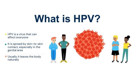 Improving Communication About The Human Papillomavirus Hpv