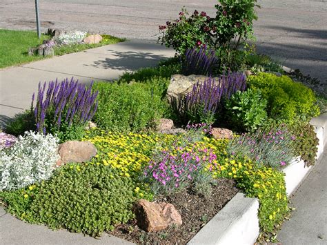 Oudoor Living Style Xeriscape Landscaping Sidewalk Landscaping