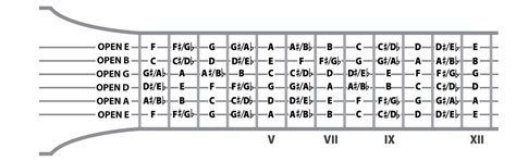 Guitar Fretboard Visualization Chart With Note Names