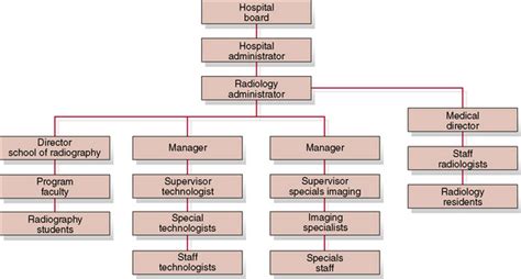 Organization And Operation Of The Radiology Department Radiology Key