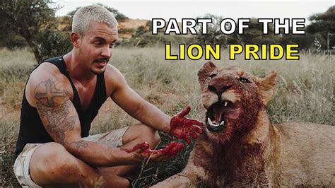 Part Of The Lion Pride Dean Schneider Living With Lions Youtube