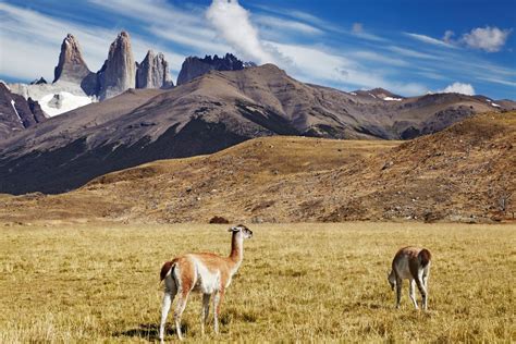 Los Glaciares And Torres Del Paine 8 Days Kimkim