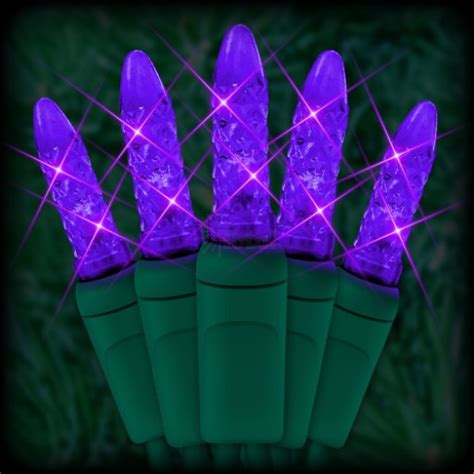 Led Purple Christmas Lights 50 M5 Mini Led Bulbs 6 Spacing 23ft