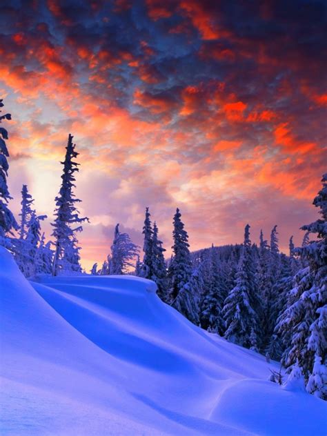Free Download 69 1080p Winter Wallpapers On Wallpaperplay 1920x1080