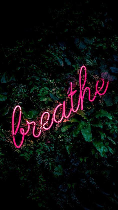 We did not find results for: Neon Signs Wallpapers - Wallpaper Cave