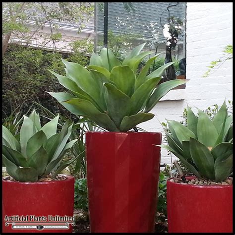 Check spelling or type a new query. Learn the Benefits of Combining Outdoor Artificial Plants ...