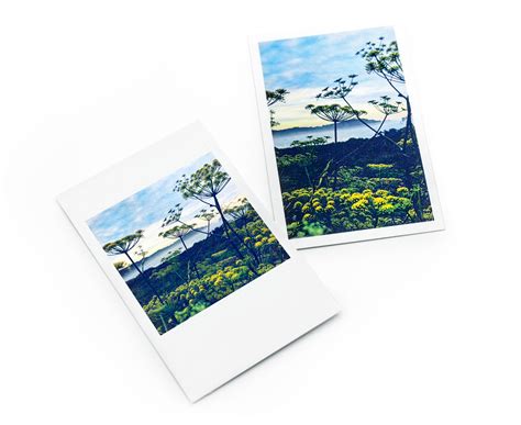 Screenprints Mini Print Prints Etna Com Pe