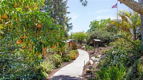 San Diego Botanic Garden Tclf