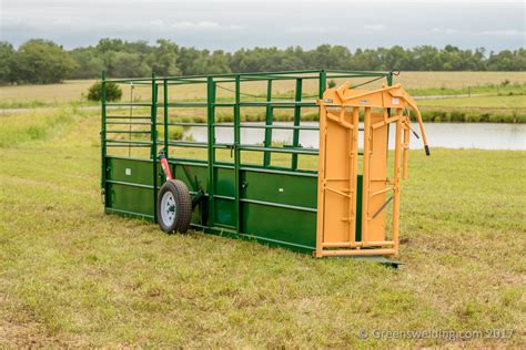 Cattle Working Chute Greens Welding And Sales
