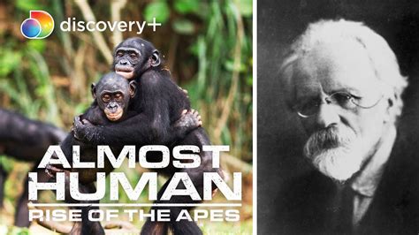 Human Ape Hybrid Soviet Scientist Wanted To Do What Almost Human