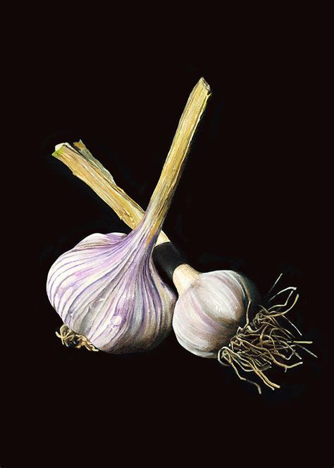 Adams Garlic Art Fine Art New Mexico