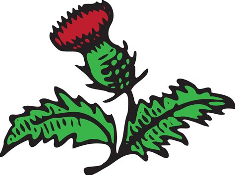 Red Thistle Handyworks Thistle Clipart Full Size Clipart 1636201