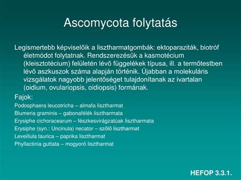 ektoparaziták és endoparaziták példái)