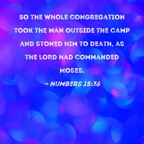 Numbers 1536 So The Whole Congregation Took The Man Outside The Camp