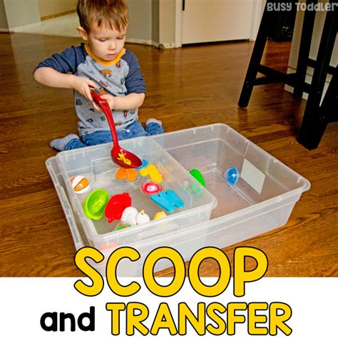 Water Scoop And Transfer A Toddler Activity Busy Toddler Busy