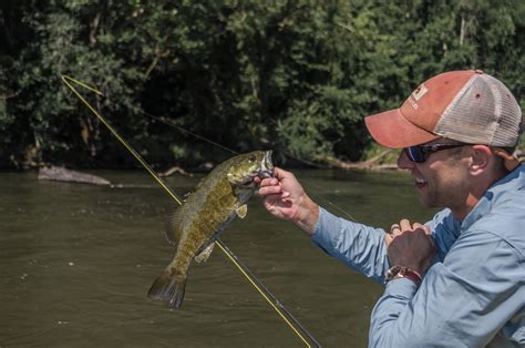 Fly Or Die Summer Smallmouth