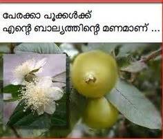 Malayalam script is also widely used for writing sanskrit texts in kerala. 22 Nostalgia...malayalam poems and more... ideas | poems ...