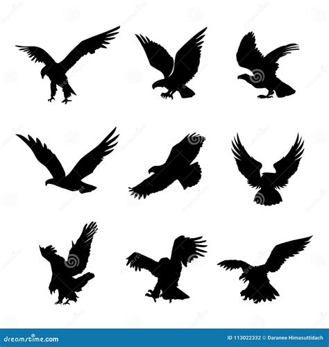 Eagle Falcon Bird Hawk Animal Silhouette Black Icon Flat Design Element
