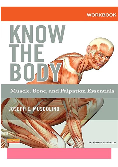 Guide to mastering the study of anatomy. Anatomy Pictures Muscles And Bones Pdf Downloads - Read ...