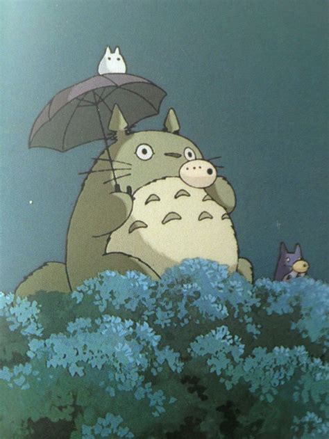 With hayao miyazaki's studio ghibli reaching its quarter century this year, we salute its ten best animated features… few animation studios have been as consistent in their output as hayao miyazaki's studio ghibli. 27 best My neighbour totoro and princess mononoke images ...