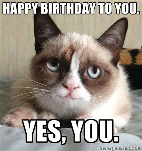 Happy Birthday Cat Funny Grumpy Cat Memes Grumpy Cat