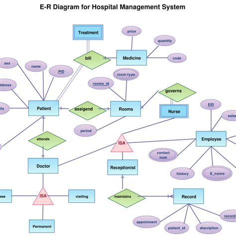 Er Diagram Tutorial Complete Guide To Entity Relationship Ermodelexample Com