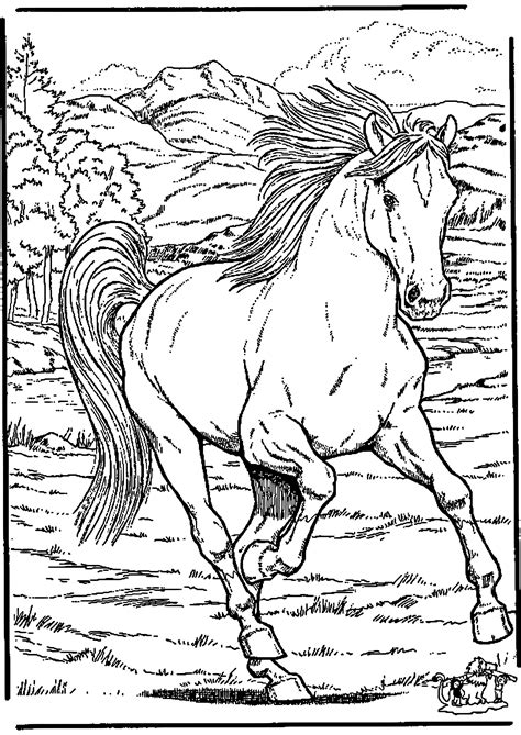 Beau Coloriage De Cheval A Imprimer (avec images)  Coloriage cheval