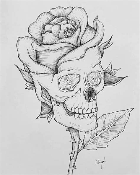Rose Skull Illustration Etsy