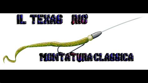 Spiegazioni Tecniche Di Pesca Il Texas Rig Montatura Classica