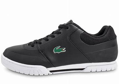 Lacoste Indiana Noire Chaussures Evo Bleu Sneakers