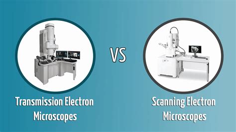 Transmission Tem Vs Scanning Sem Electron Microscopes Whats The