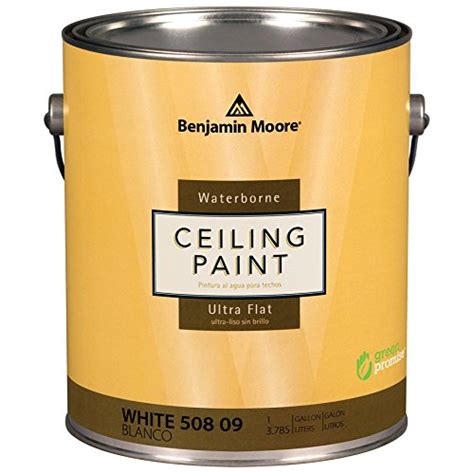 The 8 Best Paints For Ceilings A Complete Guide