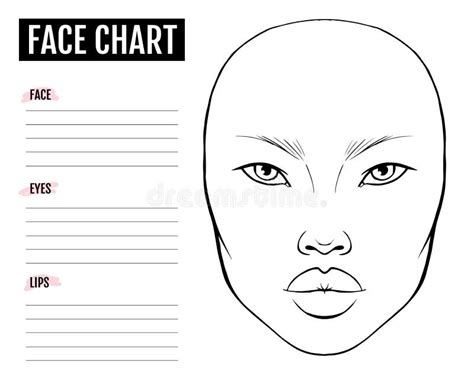 Face Chart Blank Makeup Artist Vector Template Stock Vector