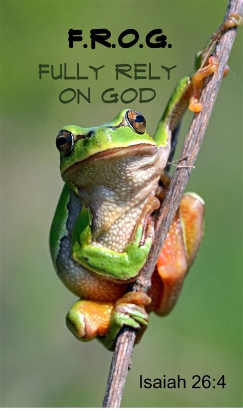 Frog Fully Rely On God Frog On Stick Magnet Christian Book And Toys