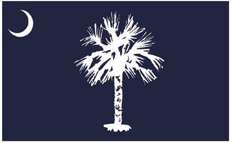 South Carolina Historians Settle On A New State Flag Design Columbia