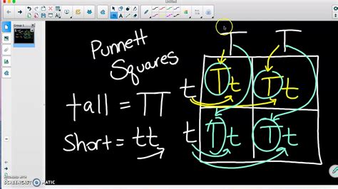 The punnett square is a diagram used to predict the result of a breeding experiment through analysing predictable traits which will be passed on genetically by each organism. 6th Grade - Punnett Squares - YouTube