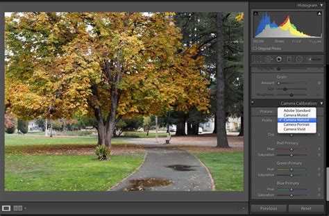 Color Profiles in Lightroom 5.3 for Olympus Owners - The Digital Story