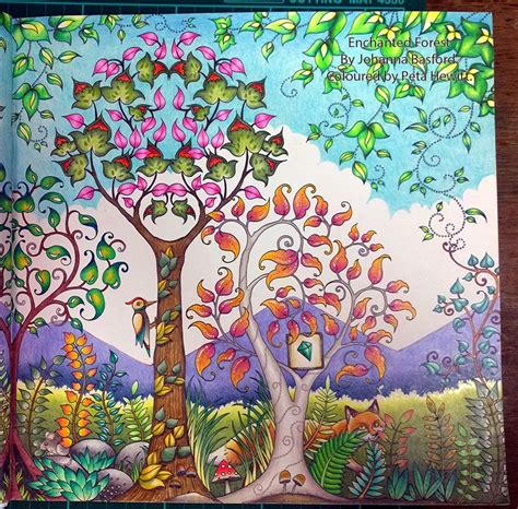 Calming coloring coloringbook enchanted enchantedforest forest fox relax stressless woodland. Enchanted Forest: Stages in Colouring the Day Forest ...