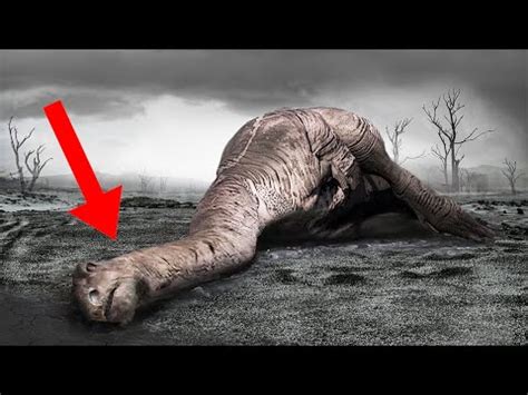 10 Things You Probably Didn T Know About Dinosaurs YouTube