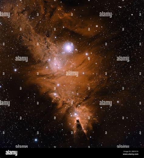 Cone Nebula Ngc 2264 Christmas Tree Cluster Stock Photo Alamy