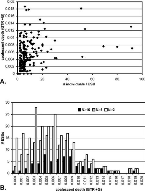 Sample Size Effect On Intraspecific Variation A Coalescent Depth Vs