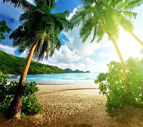 Tropical Beach Coast Palms Sea Summer Tropics Hd Wallpaper Peakpx